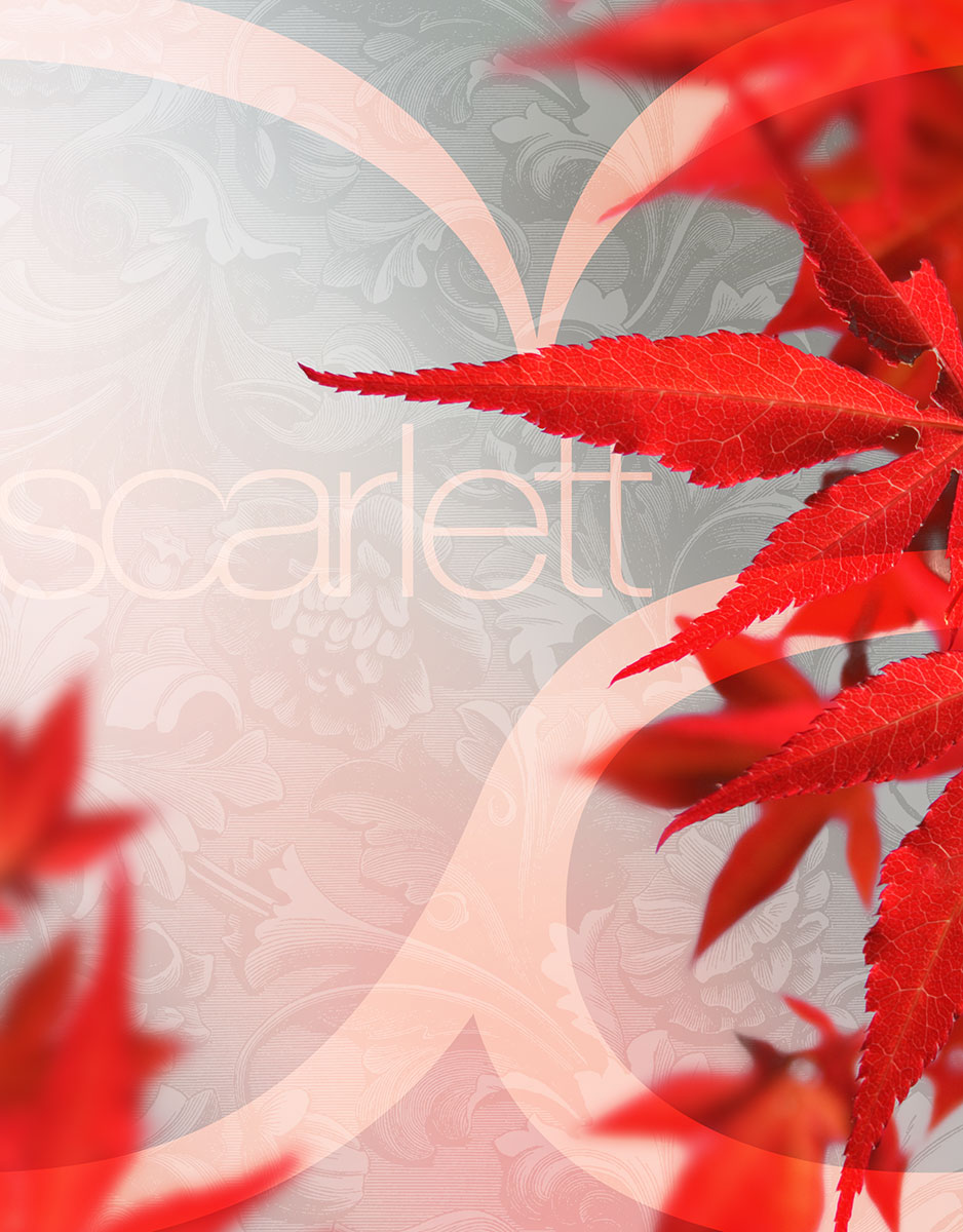 Scarlett-Card-02